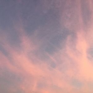 Meet your Posher, Hadley